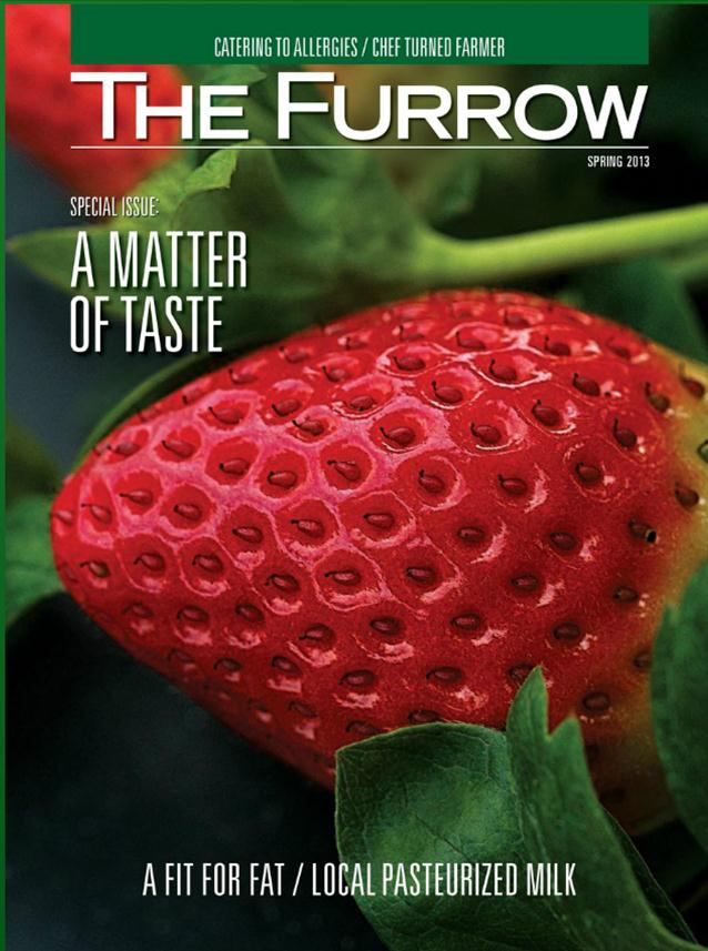 Furrow cover