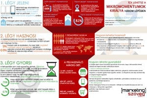 mikromomentum infografika